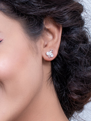 Swarovski White Stone Earrings